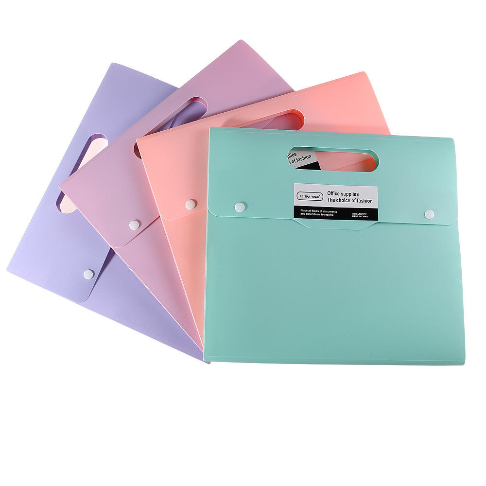 Plastic  Office Supplier file folder